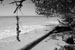 Koh Bulon - Thailand